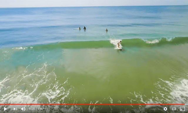 Surf Lesson with Eternal Wave Surf Shop