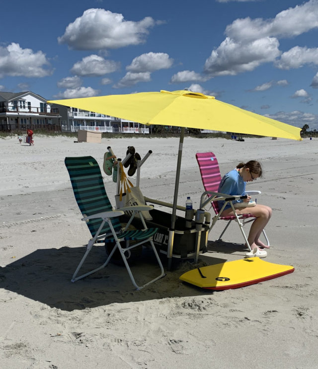 Best Beach Carts 2021 - Balloon Wheels - Built-in Umbrella - Chair