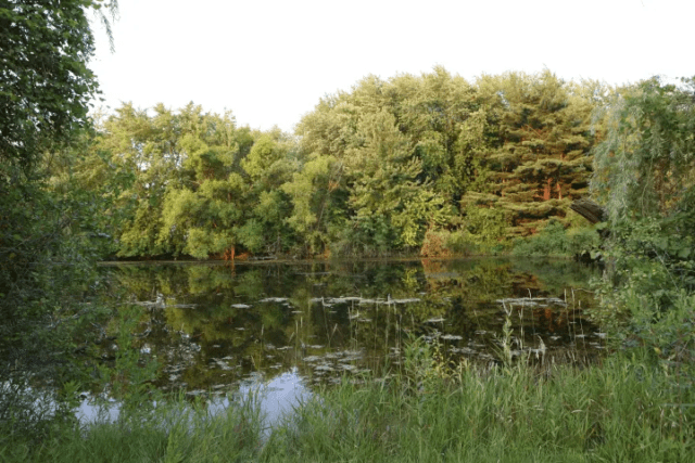 unnamed (5) | Glampin' Life