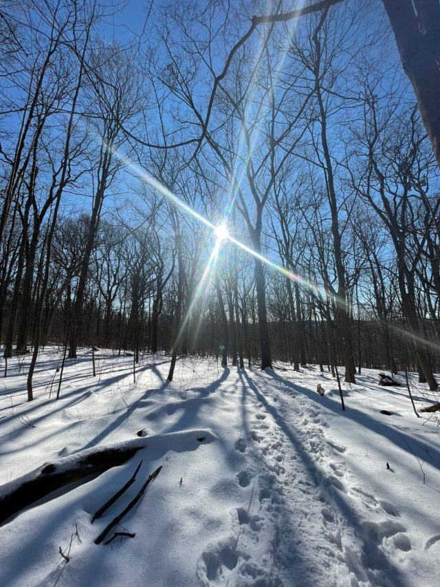 van cort NYC winter hikes