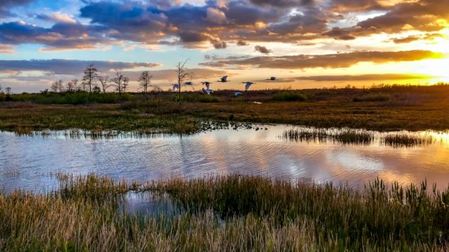 https://www.glampinlife.com/wp-content/uploads/2022/01/everglades-national-park-outsidemagazine-640x360.jpg