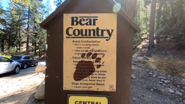 bear country camp sign