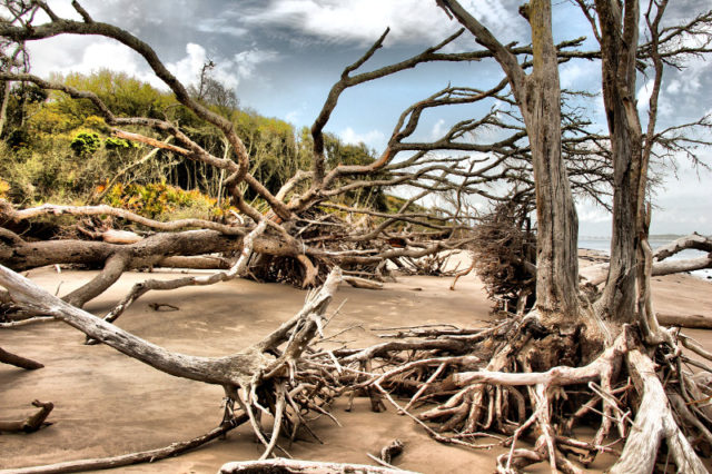 boneyard hidden beaches