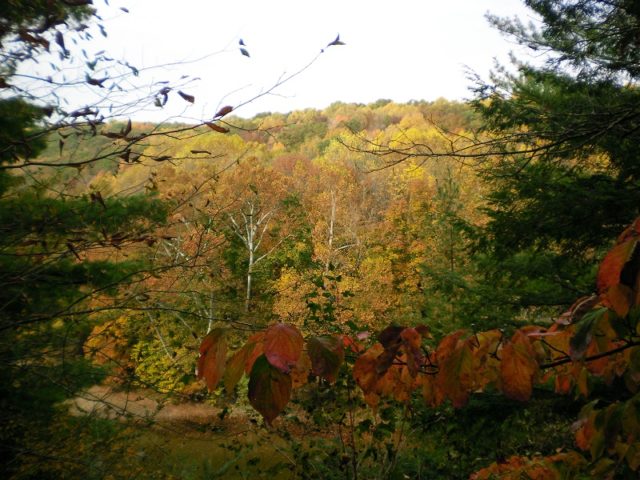 shades best state parks in missouri